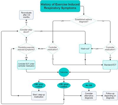 An Algorithm for Strategic Continuation or Restriction of Asthma Medication Prior to Exercise Challenge Testing in Childhood Exercise Induced Bronchoconstriction